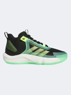 Adidas Adizero Select Men Basketball Shoes Multicolor